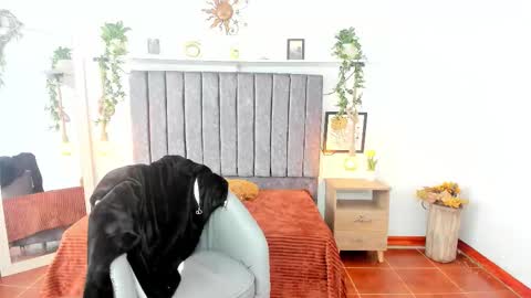 Snapshot of im_tulipan chatting on February 2026 07:56:01 PM im_tulipan online show from February 2026 07:56:01 PM