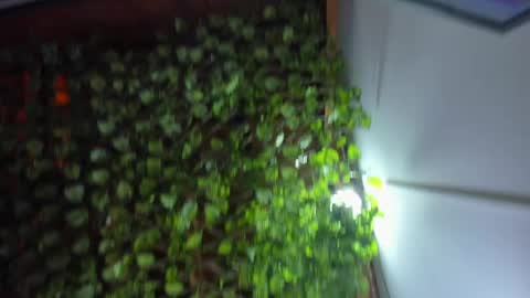 Snapshot of im_xandersmith chatting on May 2026 08:38:01 PM im_xandersmith online show from May 2026 08:38:01 PM