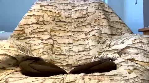 Snapshot of imaginaryvoyage chatting on December 2025 04:23:02 PM thanks for visiting online show from December 2025 04:23:02 PM