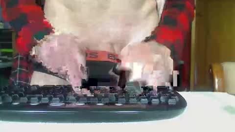 Snapshot of imaussiechris chatting on October 2025 12:33:02 AM Aussie Guy online show from October 2025 12:33:02 AM