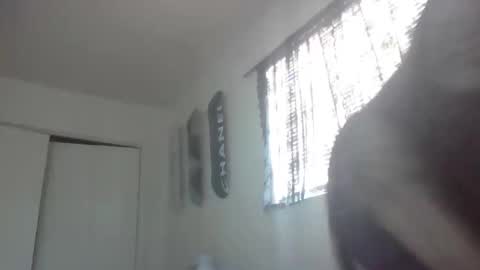 Snapshot of imyourbabydoll chatting on February 2026 09:47:02 PM imyourbabydoll online show from February 2026 09:47:02 PM