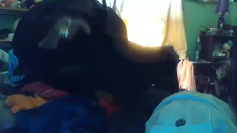 indigo_scorpio online show from October 2025 10:10:01 PM