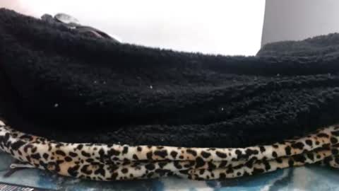 indr40ff online show from April 2026 10:29:02 PM