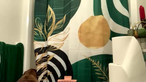 Snapshot of intothewoodswego chatting on April 2026 08:51:01 PM IntoTheWoodsWeGo online show from April 2026 08:51:01 PM