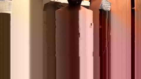 Snapshot of inyourmouthagain83 chatting on October 2025 09:29:02 AM inyourmouthagain online show from October 2025 09:29:02 AM