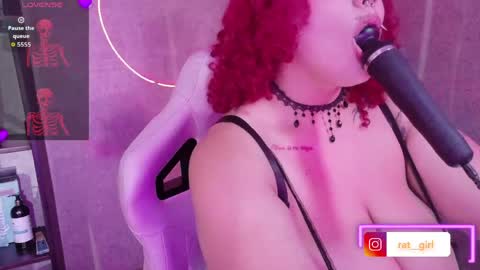 iriisfeitan online show from May 2026 03:35:02 AM