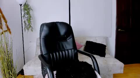    online show from June 2026 11:17:02 PM