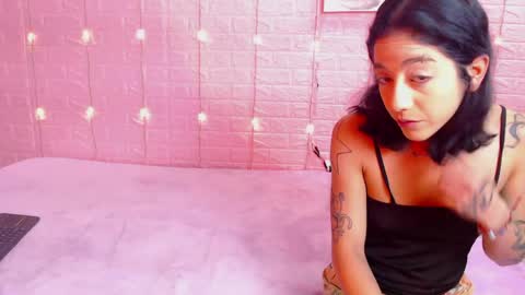 Iirs online show from March 2026 03:01:01 AM