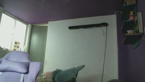 Snapshot of irisbell_ chatting on March 2025 01:29:01 PM Camilla online show from March 2025 01:29:01 PM