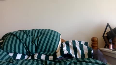 irishbigcocky567 online show from June 2026 11:15:01 AM