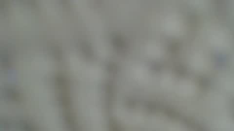 Irishdude2483 online show from January 2025 06:33:01 AM