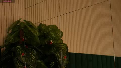 Snapshot of irisnightshade chatting on October 2025 12:55:02 AM Maria online show from October 2025 12:55:02 AM