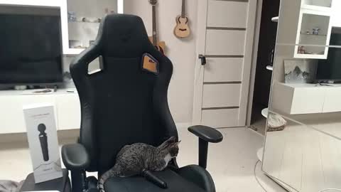 Irwi Tomboy online show from December 2024 11:24:02 PM