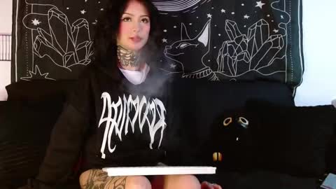    online show from November 2025 03:37:02 AM