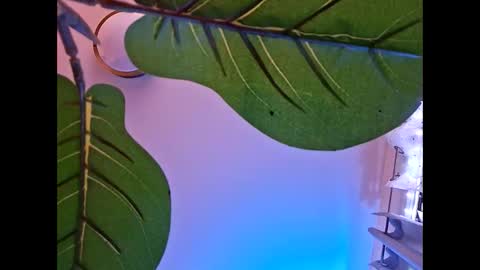 Snapshot of isabellacloverlove chatting on October 2025 05:51:01 AM Isabella online show from October 2025 05:51:01 AM