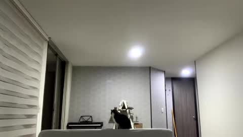 Snapshot of isabelprietoo chatting on September 2025 02:56:02 AM Isa online show from September 2025 02:56:02 AM