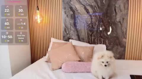 Snapshot of isadora_14 chatting on October 2025 02:28:01 PM ISADORA online show from October 2025 02:28:01 PM