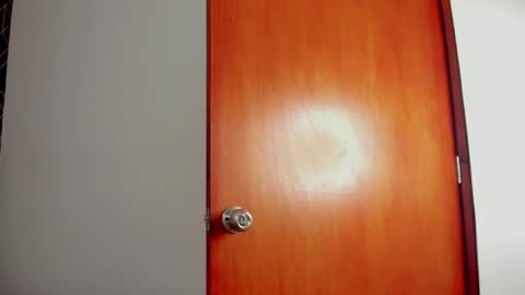 isidel79 online show from February 2026 12:37:02 PM