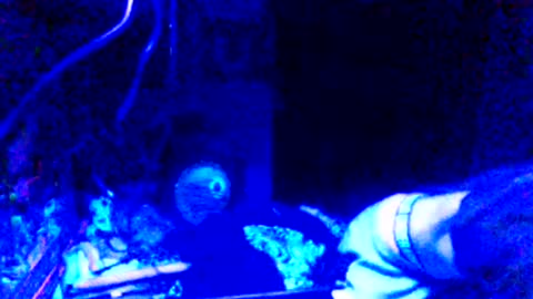 Girlnextdoor online show from March 2026 10:43:01 AM