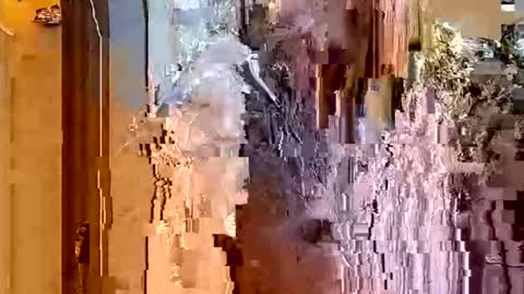 Snapshot of itsfoxie chatting on January 2026 04:49:02 AM ItsFoxie online show from January 2026 04:49:02 AM