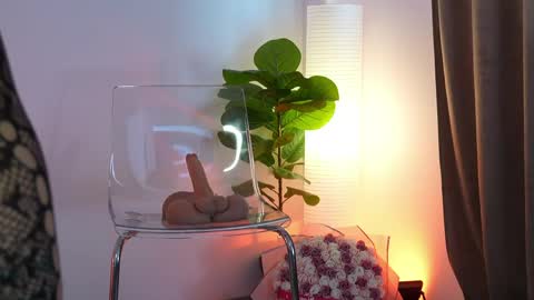 Kendra online show from May 2026 01:39:01 PM