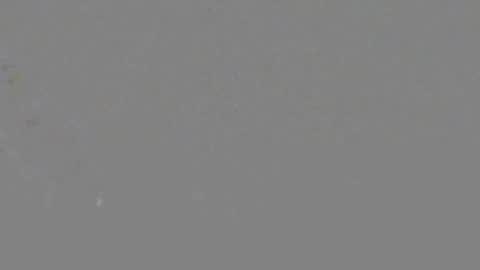 ItsNyladior online show from June 2026 03:39:02 PM