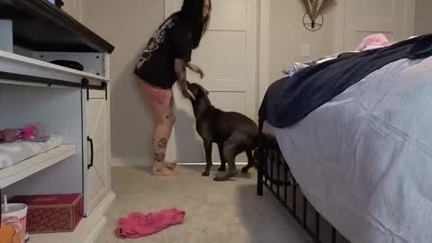 ivey jade online show from November 2025 07:30:02 AM