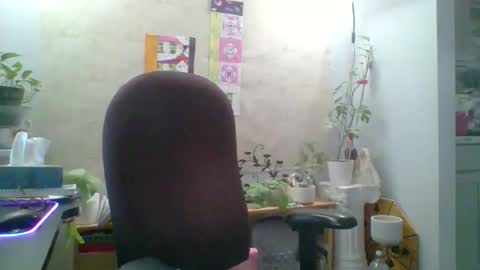 Snapshot of ivyjane3522 chatting on April 2026 11:46:02 AM ivyjane3522 online show from April 2026 11:46:02 AM