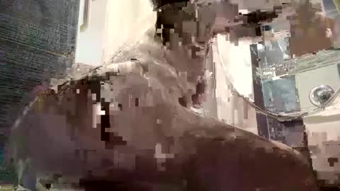 Snapshot of izcah_g chatting on January 2025 10:13:02 AM Izcah online show from January 2025 10:13:02 AM