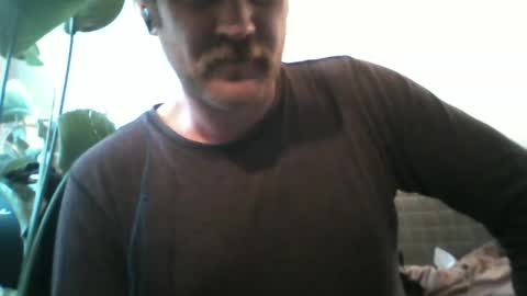 Snapshot of j_tree88 chatting on February 2025 02:55:02 PM TR88 online show from February 2025 02:55:02 PM