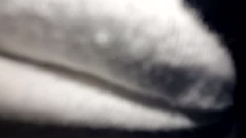 jack5ddddd online show from March 2026 12:00:02 PM