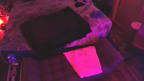 jackmeoff369 online show from October 2025 12:49:02 PM