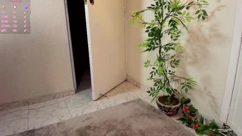 Jahgio online show from November 2025 07:08:01 AM