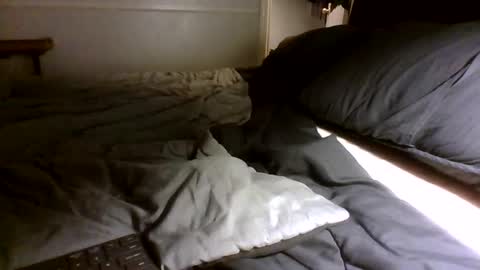 Jamacian online show from September 2025 03:00:01 AM