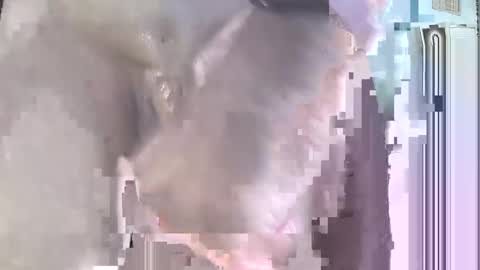 jack online show from September 2025 04:52:02 PM