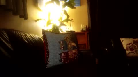 jamesloveridge901 online show from October 2025 02:24:01 PM