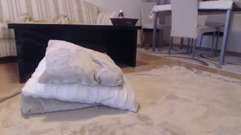 jaqueline88 online show from January 2025 08:11:02 AM