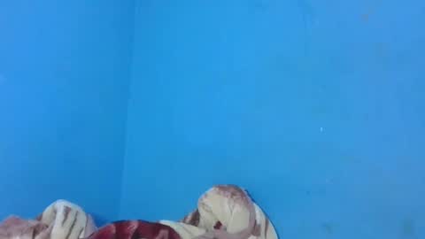 JarevavaX online show from January 2025 02:58:01 PM