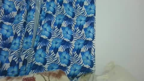 JarevavaX online show from February 2025 09:01:01 PM