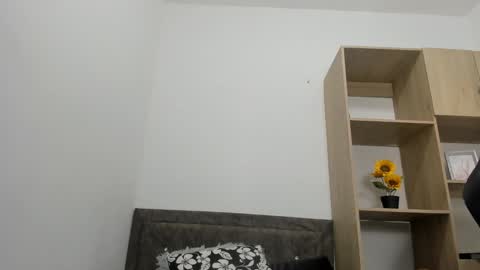 Snapshot of jason_fenix chatting on October 2025 07:36:02 PM Jason online show from October 2025 07:36:02 PM