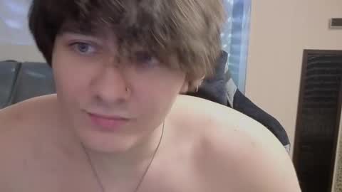 jastinpet online show from February 2026 08:51:01 PM