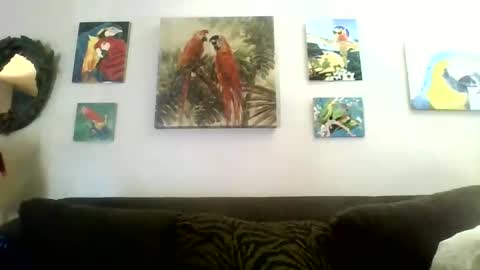 jay-jay1475 online show from December 2024 04:22:01 PM