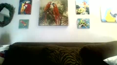 jay-jay1475 online show from December 2024 06:10:01 PM