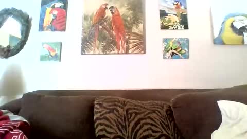 jay-jay1475 online show from January 2025 05:22:02 PM