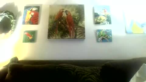 jay-jay1475 online show from January 2025 03:48:01 AM