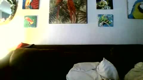 jay-jay1475 online show from May 2026 05:40:01 PM