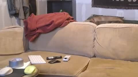 O F   jay short786 online show from February 2025 12:32:01 AM