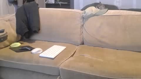 O F   jay short786 online show from March 2025 04:49:02 AM