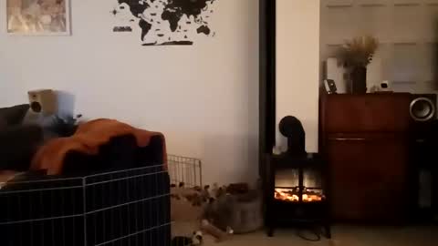 Snapshot of jaycat73 chatting on January 2025 11:45:02 PM jaycat73 online show from January 2025 11:45:02 PM