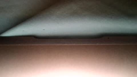 jaydee6312 online show from February 2026 03:11:01 AM